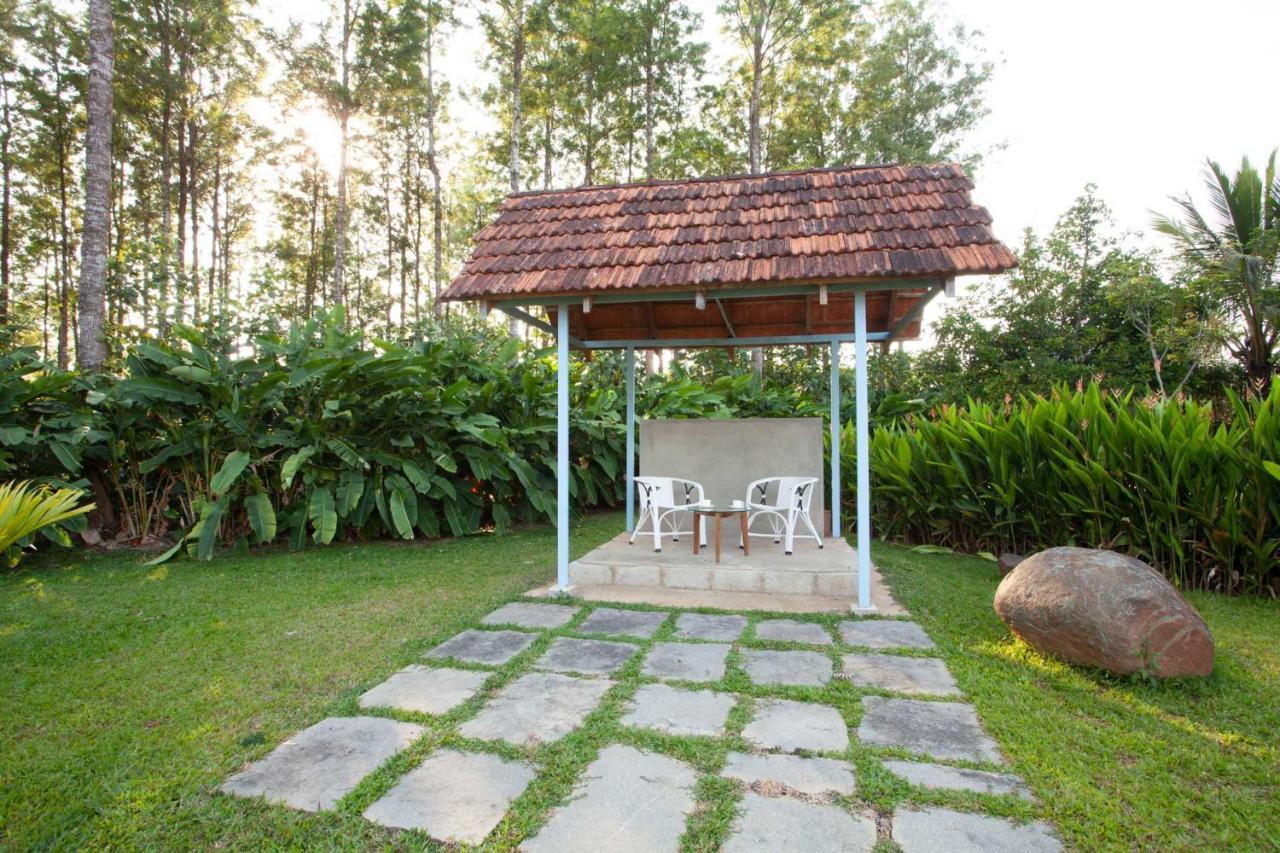 Stayvista At Cedar - Strelitzia 2Bhk With Breakfast And Jacuzzi Chikmagalūr Extérieur photo